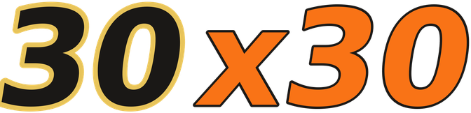 30x30 logo